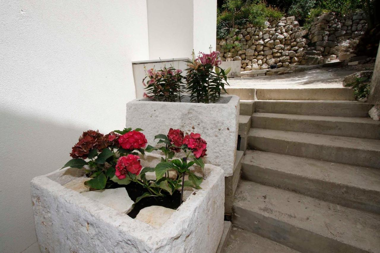 Apartmani Rustica Drasnice Exterior foto